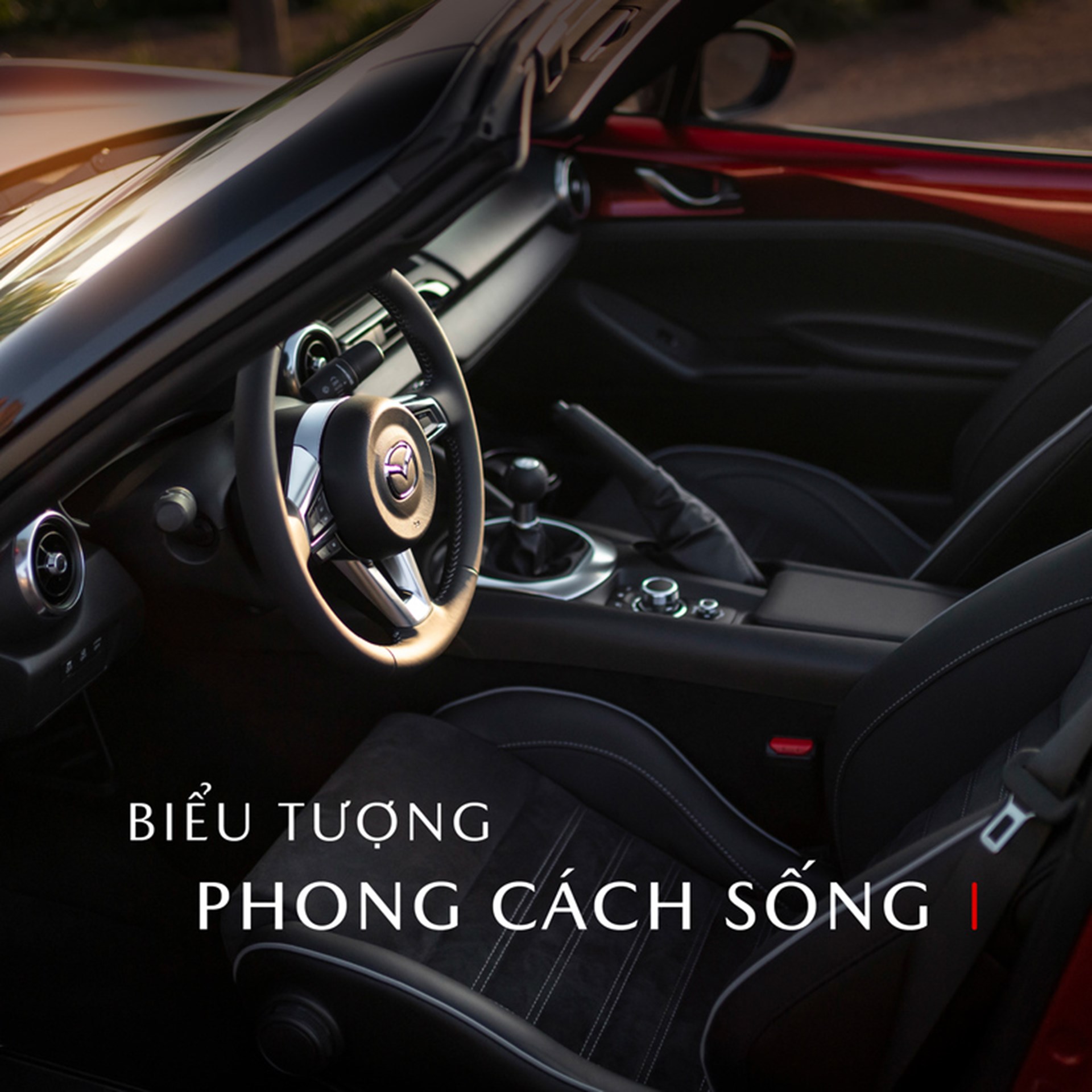 THIẾT KẾ ROADSTER THUẦN KHIẾT Image